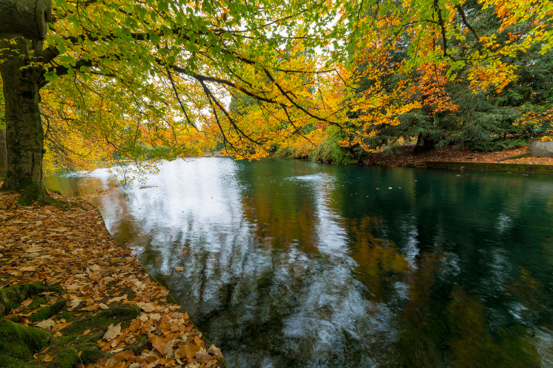 Laurelhurst